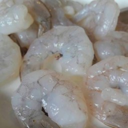 กุ้งจานเล็ก