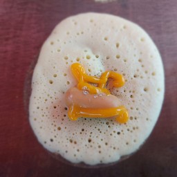 อ้วนอ้วนโตเกียว