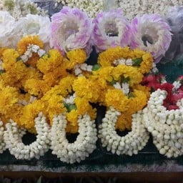 มาลัยทอง2 โดย Infinity 2