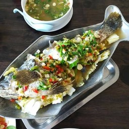 ปลากะพงนึ่งมะนาว/ซีอิ๊ว/บ๊วย