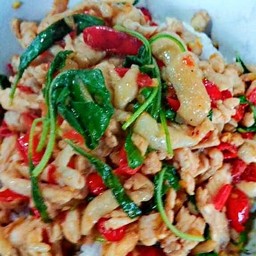 ข้าวราดกะเพราไก่เผ็ดๆแห้งๆไม่น้ำตาลไม่น้ำมันหอย