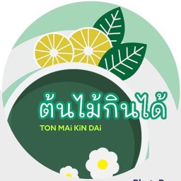 ต้นไม้กินได้ by ณุชายคนหล่อ พระโขนง