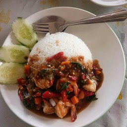 กระเพรากุ้ง