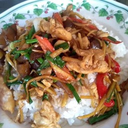 ข้าวไก่ผัดขิง
