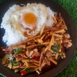 ข้าวยอดมะพร้าวผัดกระเพรา