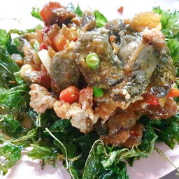 ไข่เยี่ยวม้ากระเพรากรอบหมูสับ