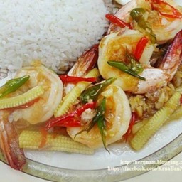 ข้าวราดผัดพริกกุ้ง