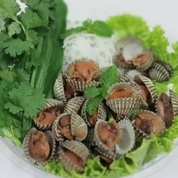 นารีมีหอย
