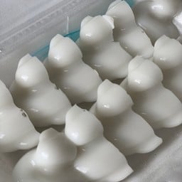 วุ้นเป็ด