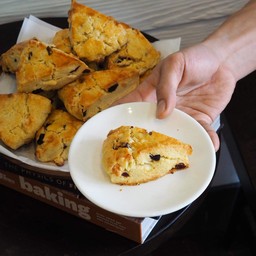 Cranberry & White Chocolate Scone