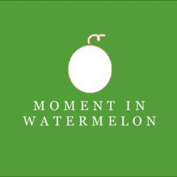 แตงโมปั่นไร้น้ำแข็ง ไร้น้ำเชื่อม ไร้เมล็ด สุขุมวิท64