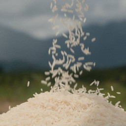 ร้าน  ข้าวหอมข้าวสาร