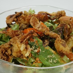 สลัดปูนิ่ม