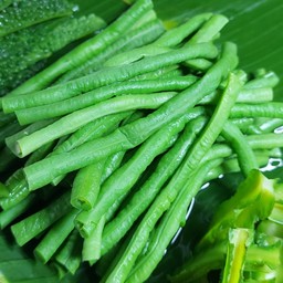 ถั่วฝักยาว