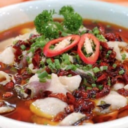B6F ปลากะพงเสฉวน 水煮鱼