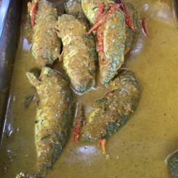 ฉู๋ฉีปลาทู  สตรูแข้มข้น