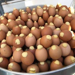 ไข่ทรงเครื่อง 3 ฟอง 25 บ.