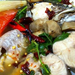 ต้มยำปลาช่อนหม้อไฟ