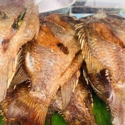 ปลานิลทอด