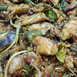 ผัดเผ็ดปลาดุก