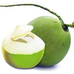 น้ำมะพร้าวปั่น-(ไม่ใส่นม)