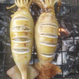 หมึกพ่นไฟ By น้องอัน