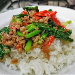 ผัดคะน้าราดข้าว
