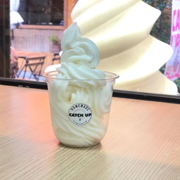 ไอศครีมโยเกิร์ตไม่ใส่ท็อปปิ้ง