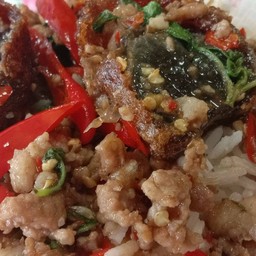 กระเพราไข่เยี่ยวม้า