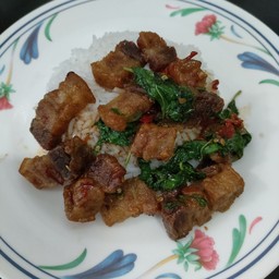 แตน กระเพราเเซ่บ