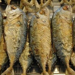 ปลาทูทอด