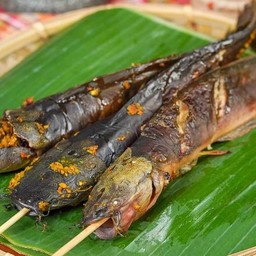 ปลาดุกย่าง