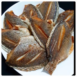ปลานิลแดดเดียวตัวละ