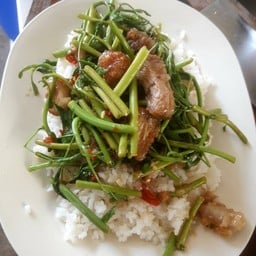 ผัดผักบุ้งราดข้าว