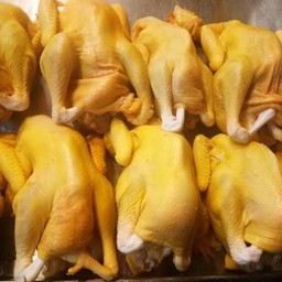 ไก่เหนียว