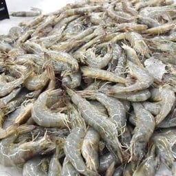 กุ้งXL