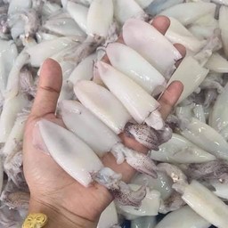 หมึกกล้วย