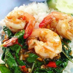 ข้าวราดกะเพรากุ้ง