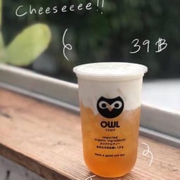 owl cha  ลำปาง (รีเจนท์ ลอดจ์)