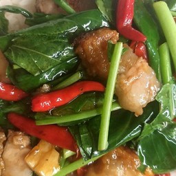 ข้าวราดคะน้าหมูกรอบ