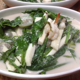 ต้มกะทิผักเหมียงกุ้งสด