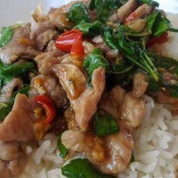 ข้าวราดกะเพราหมูชิ้น