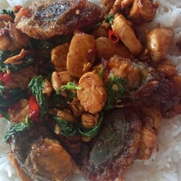 กะเพราไก่+ไข่เยี้ยวม้า