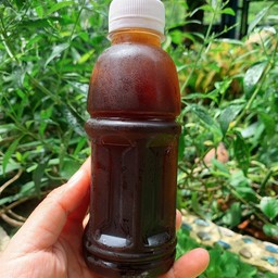 ชาช้าชา