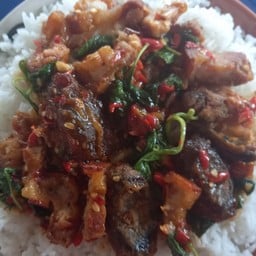 กะเพราหมูกรอบ+ไข่เยี้ยวม้า