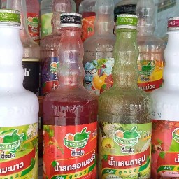ทองแท้แมวชง ลาดพร้าวซอย8