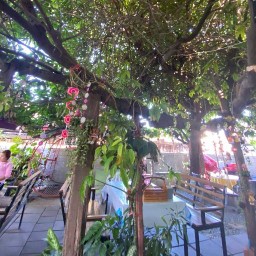 บาร์นม Bar-nom