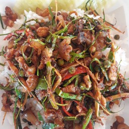 ผัดเผ็ดหมูป่า