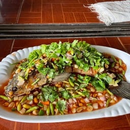 ปลาช่อนลุยสวน