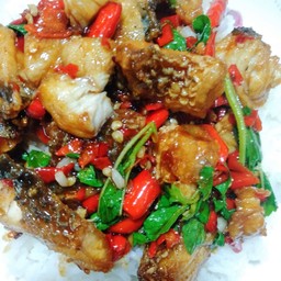 ข้าวราดกะเพราปลากะพง